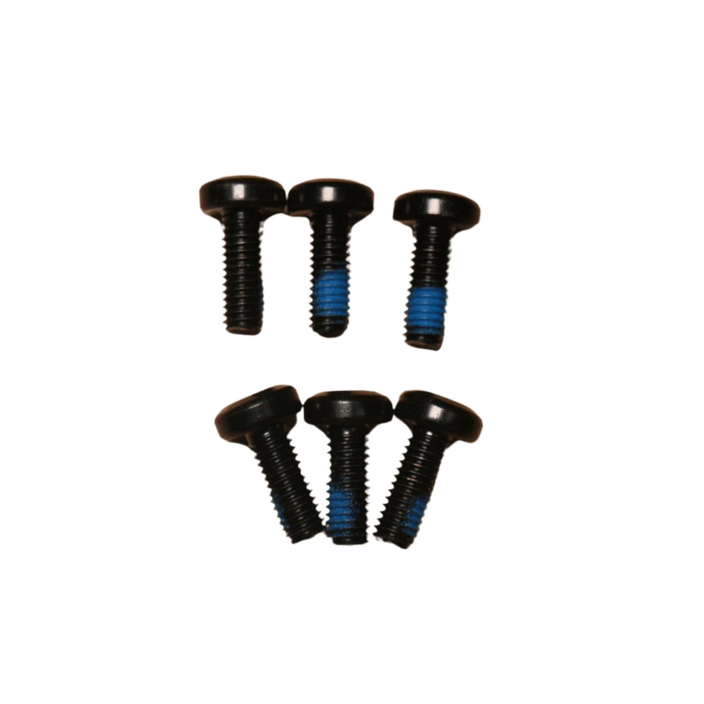 Arctic Leopard XF Brake Disc Bolts- Set of 6 - Arctic Leopard XF Part