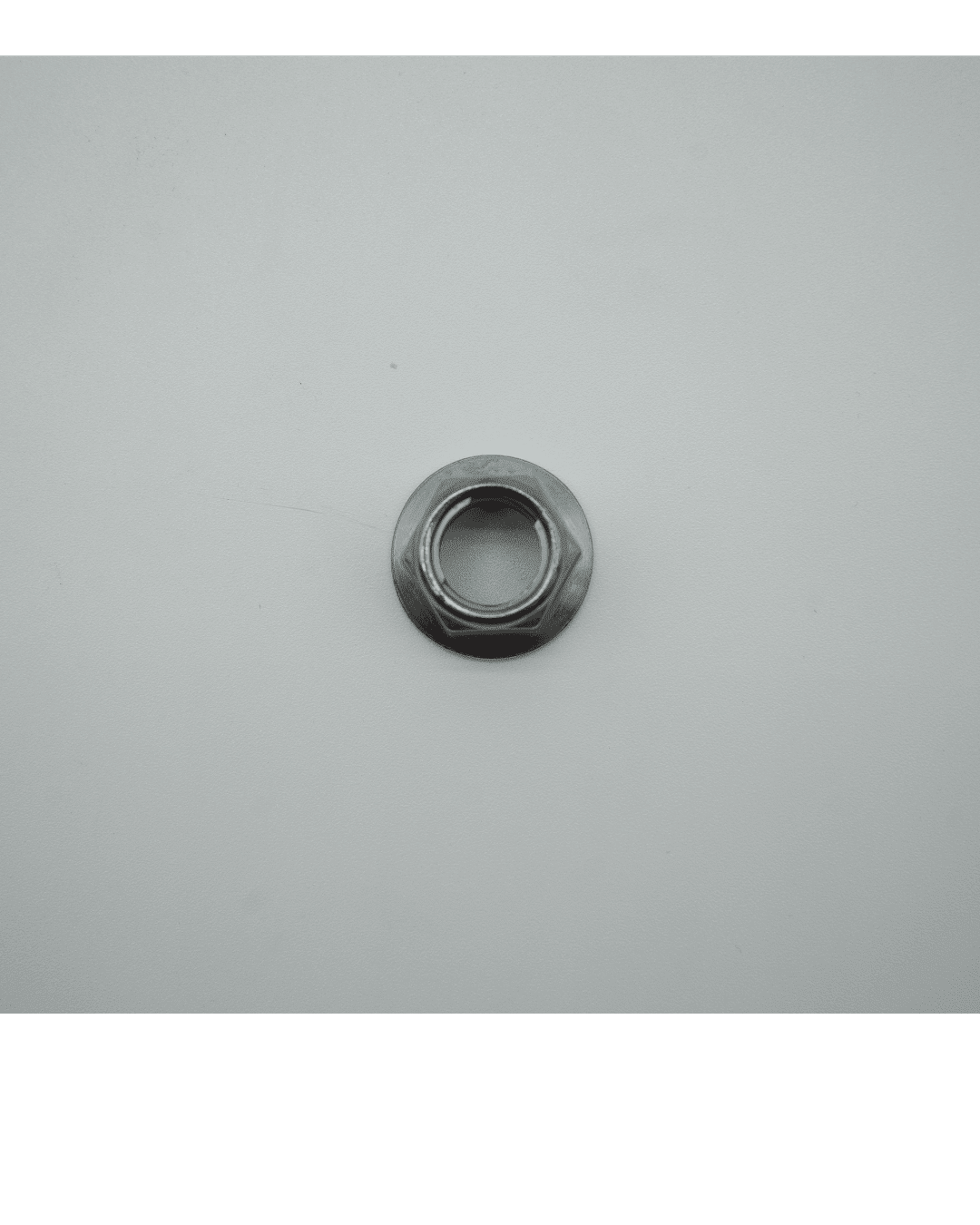 Ventus V1+ Rear Axle Nut - Ventus V1+ OEM Part